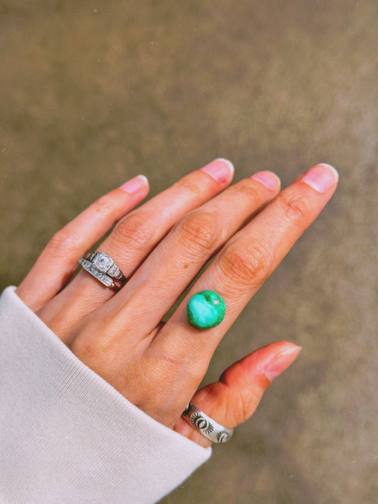 No. 8 Emerald Valley Turquoise Scalloped Ring - Choose your Size